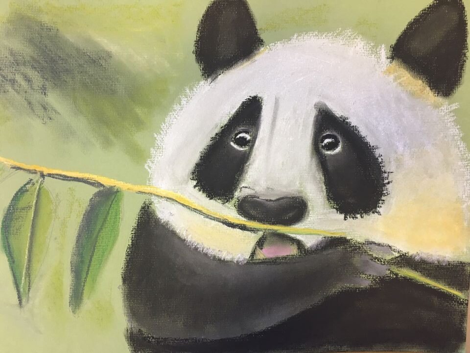 Симпатичные рисунки панды