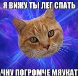 Мемы про котов: убойная подборка (32 фото)