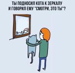 Мемы про зеркало (14 фото)