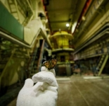 Чернобыльская АЭС в наши дни (15 фото)
