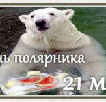 Открытки и картинки С Днем полярника (27 открыток)