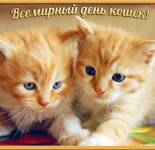 Открытки и картинки С Днем кошек (40 открыток)